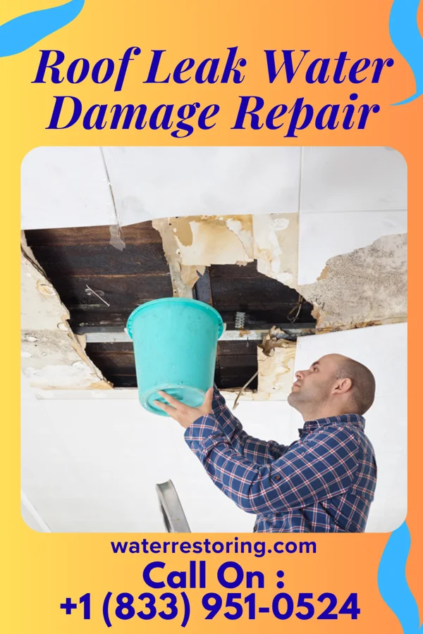 Roof Leak Water Damage Repair in Point Place, LA