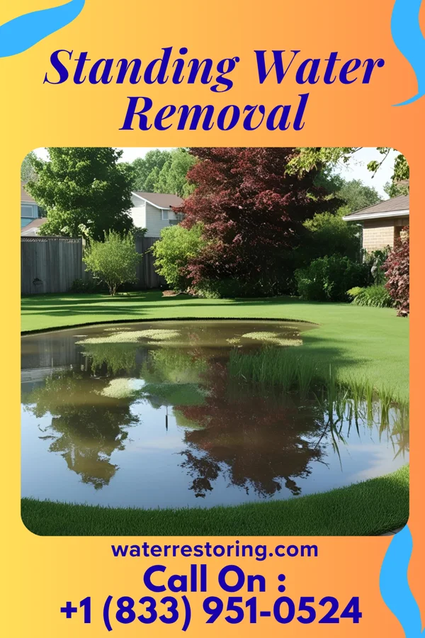 Standing Water Removal in Point Place, LA